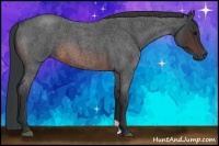Horse Color:Brown Roan