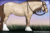 Horse Color:Bay Ice Pearl Dun 