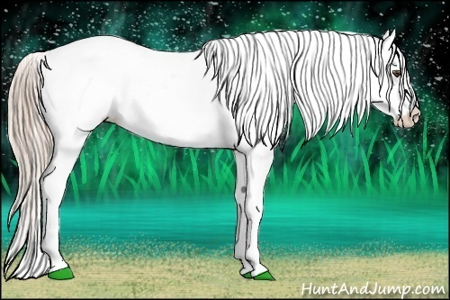 Horse Color:White Spotted Palomino Roan Dun Blanket