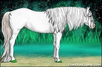 Horse Color:White Spotted Palomino Roan Dun Appaloosa 