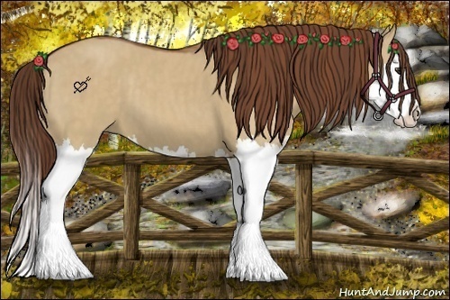Horse Color:Red Dun Splash  Brindle