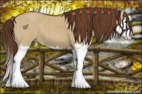 Horse Color:Red Dun Splash Brindle