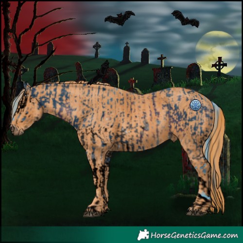 Horse Color:ERROR: UNKNOWN ANOMALY Brindle