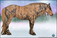 Horse Color:ERROR: UNKNOWN ANOMALY Brindle