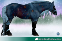 Horse Color:ERROR: UNKNOWN ANOMALY Brindle