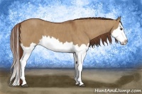 Horse Color:Red Dun Splash Brindle