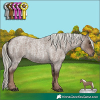 Horse Color:Liver Red Dun Roan Mushroom and Liver Red Dun Roan Mushroom