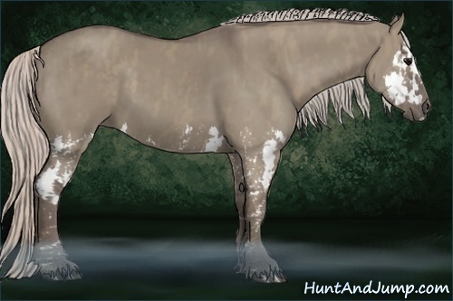 Horse Color:Silver Grullo Splash Brindle