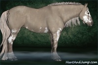 Horse Color:Silver Grullo Splash Brindle