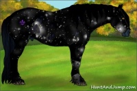 Horse Color:ERROR: UNKNOWN ANOMALY and ERROR: UNKNOWN ANOMALY