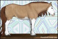 Horse Color:Red Dun Splash Brindle