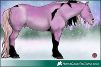 Horse Color:ERROR: UNKNOWN ANOMALY