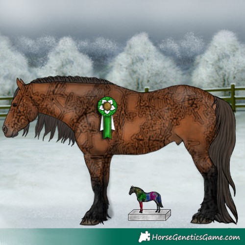 Horse Color:Bay Ice 