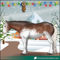 Horse Color:White Spotted Liver Chestnut Mushroom
