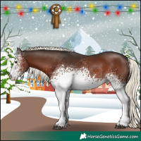 Horse Color:White Spotted Liver Chestnut Mushroom