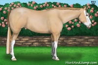 Horse Color:Bay Pearl Splash 