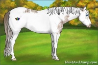 Horse Color:Plaid  Bay Ice Splash Tobiano Frame Varnish 