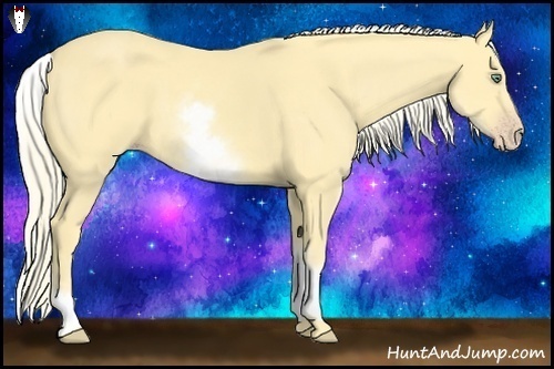 Horse Color:White Spotted Gold Cream Champagne Dun Rabicano 