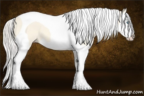 Horse Color:Cremello Dun Splash Tobiano