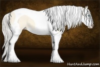 Horse Color:Cremello Dun Splash Tobiano 