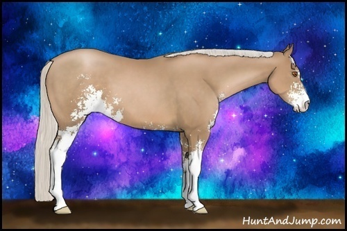 Horse Color:Silver Black Pearl Sabino 