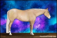 Horse Color:Silver Bay Pearl Sabino