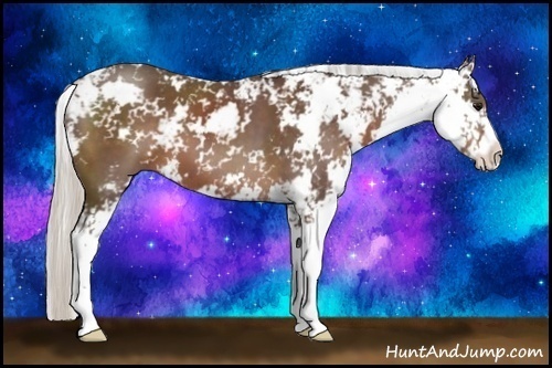 Horse Color:Silver Black Sabino 