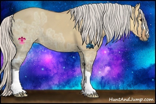 Horse Color:Silver Bay Ice Dun 