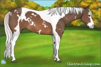Horse Color:White Spotted Silver Brown Splash Tobiano 