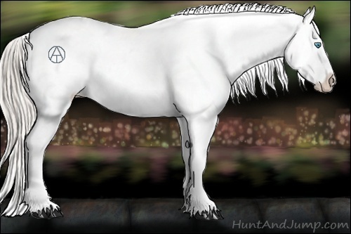 Horse Color:Chocolate Palomino Roan Pearl Appaloosa