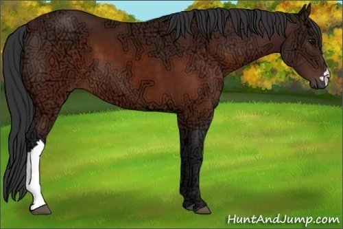 Horse Color:Brown Ice 