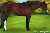 Horse Color:Brown Ice 