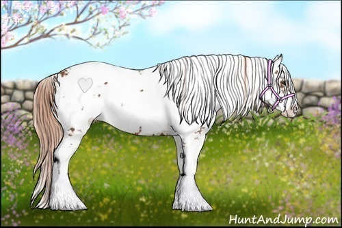 Horse Color:Chestnut Sabino 