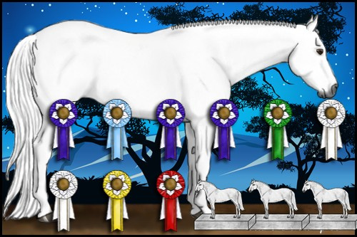 Horse Color:Gray Bay Dun Tobiano 