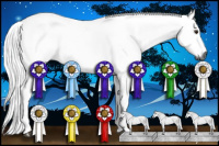 Horse Color:Gray Bay Dun Tobiano 