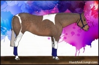 Horse Color:Silver Black Sabino Tobiano 