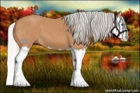Horse Color:Silver Bay Roan Splash 