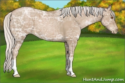 Horse Color:Silver Black Ice Pearl 