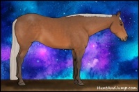 Horse Color:Silver Bay 