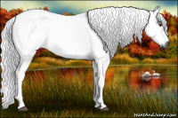 Horse Color:Gray Chestnut 