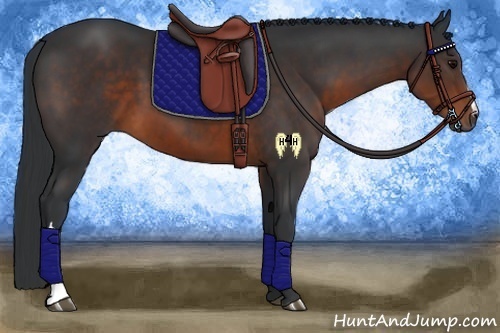 Horse Color:Brown 