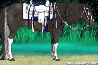 Horse Color:White Spotted Liver Chestnut Tobiano