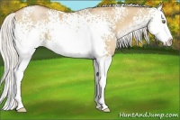 Horse Color:White Spotted Silver Bay Pearl Dun Splash