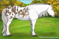 Horse Color:Chocolate Palomino Sabino Blanket 