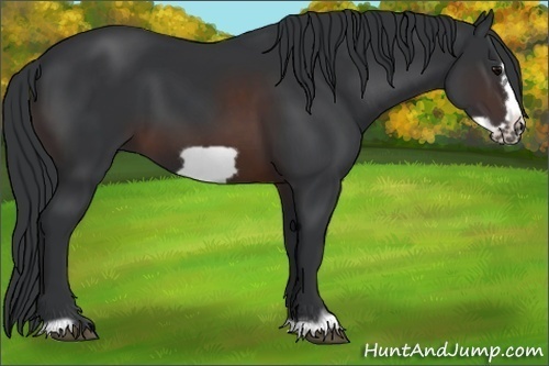 Horse Color:Brown Frame 