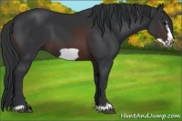 Horse Color:Brown Frame 