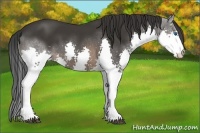 Horse Color:Brown Splash