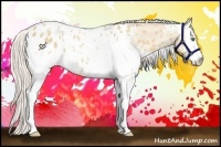 Horse Color:White Spotted Silver Sable Champagne Dun Blanket