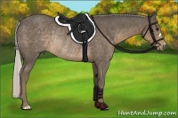 Horse Color:Silver Smoky Black Rabicano 
