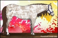 Horse Color:Liver Red Dun Ice Roan Sabino Rabicano